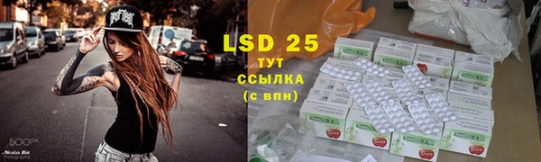 ГАЛЛЮЦИНОГЕННЫЕ ГРИБЫ Алексеевка
