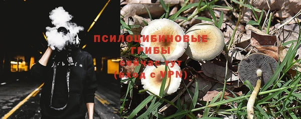 apvp Алексин