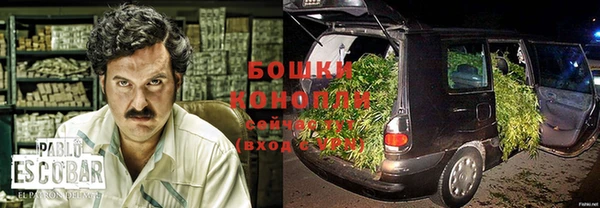 ГАЛЛЮЦИНОГЕННЫЕ ГРИБЫ Алексеевка