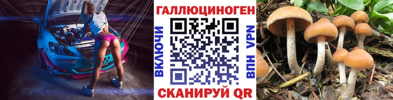 Псилоцибиновые грибы мицелий  KRAKEN tor  Десногорск 